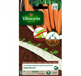 ZANAHORIA CINTAS DE VILMORIN SEMILLAS