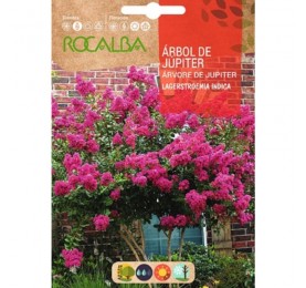 ARBOL DE JUPITER SOBRE DE SEMILLAS