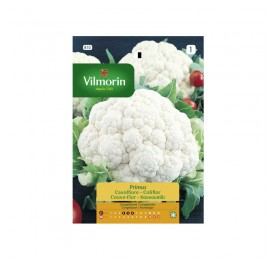 COLIFLOR GIGANTE DE OTOÑO SOBRE DE SEMILLAS