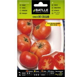 Tomate de colgar. Selección Mallorquín