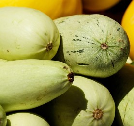 CALABACÍN TOPKAPI HÍBRIDO SOBRE DE SEMILLAS