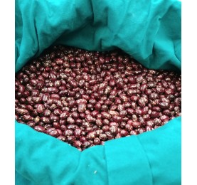 ALUBIA GERNIKESA MATA ALTA PINTA AUTOCTONA 80grs